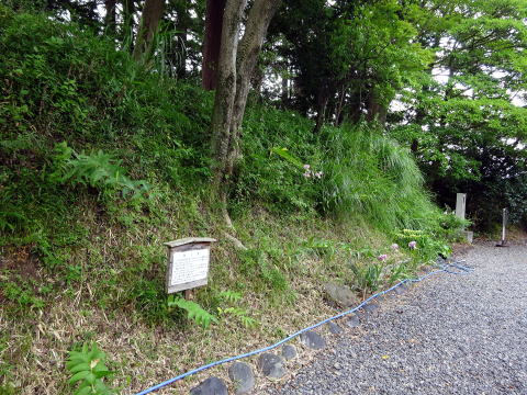 掛川城御殿の土塁
