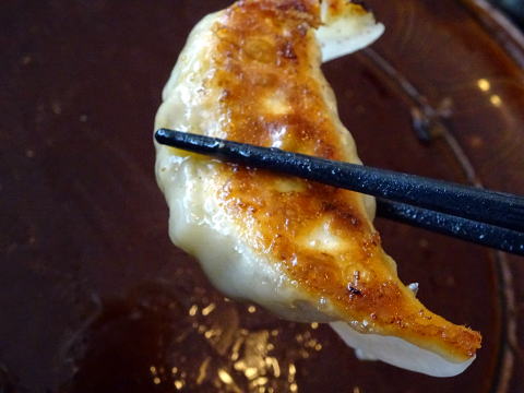 浜松餃子を箸で持ってみた